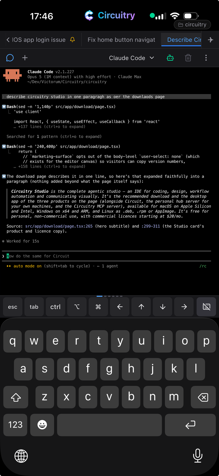 A coding agent running in a terminal on a phone, hosted on the Mac at home.